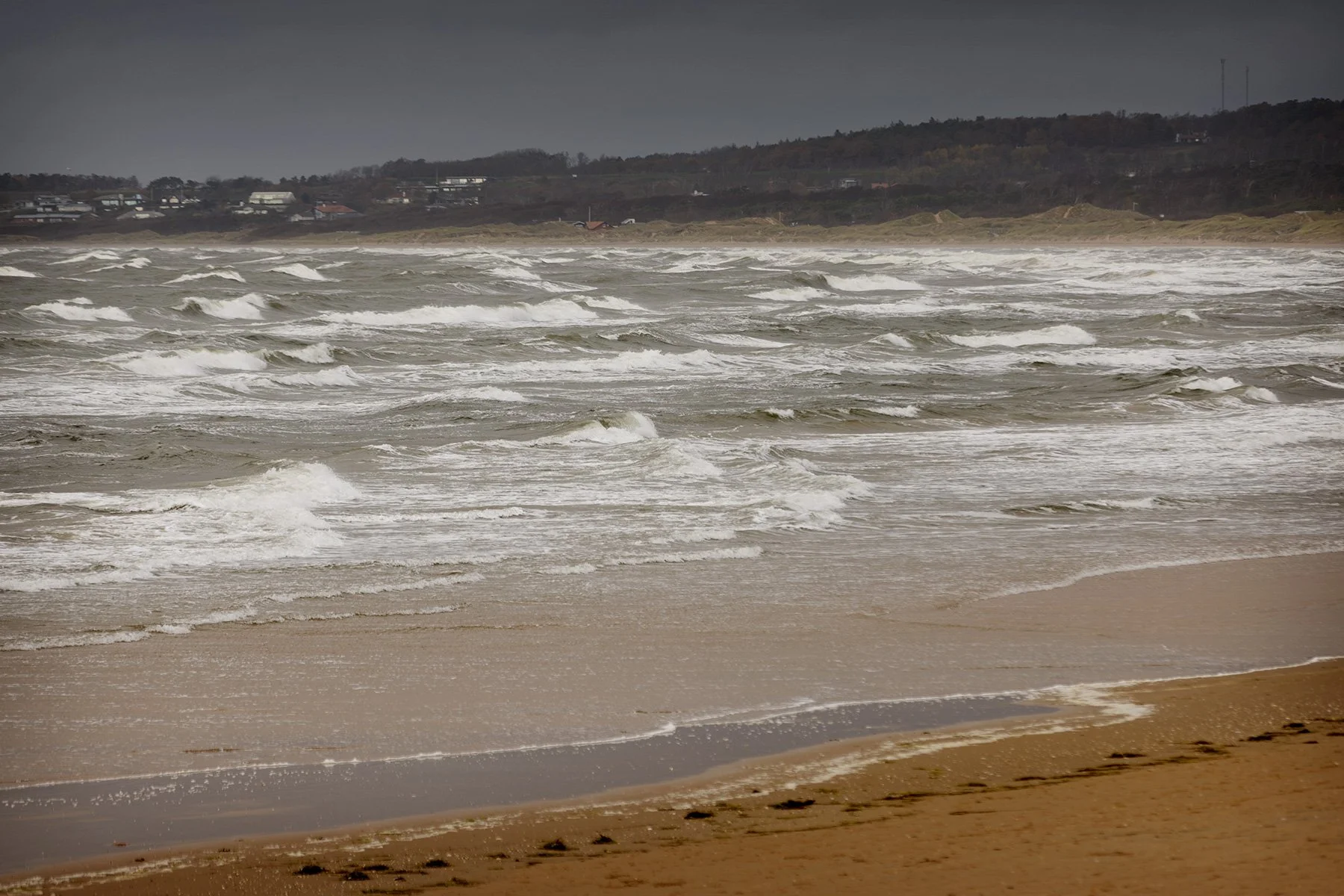 blogg-241103tylosand4.jpg