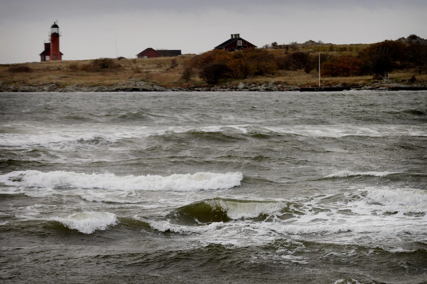 blogg-241103tylosand17.jpg