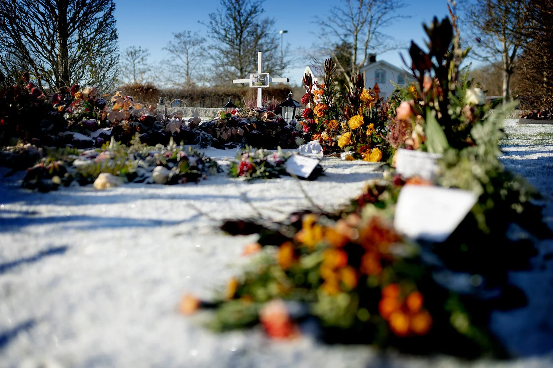 blogg-241120veddige7.jpg