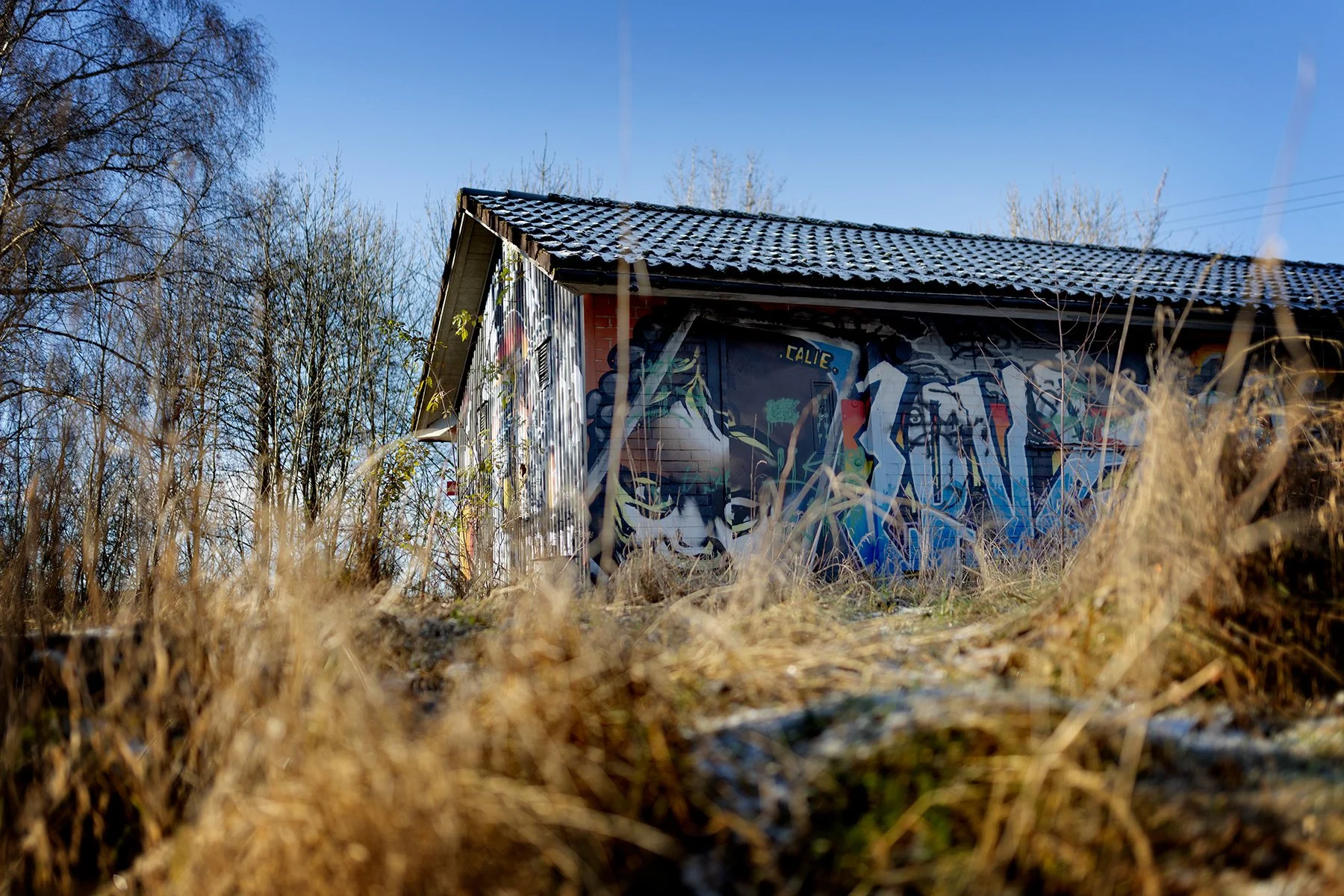 blogg-241120veddige10.jpg