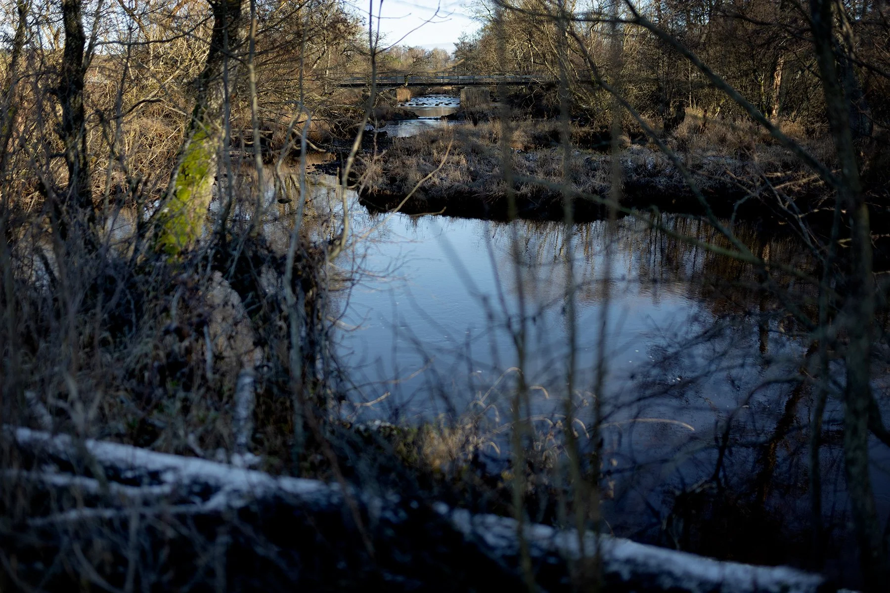 blogg-241120veddige11.jpg