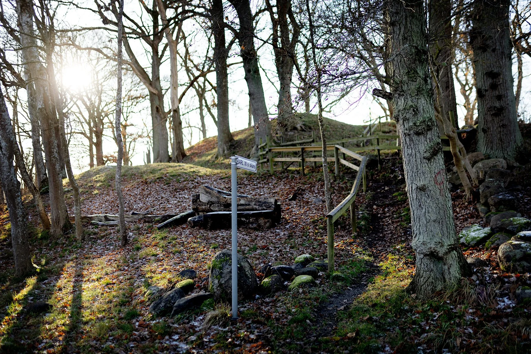blogg-241120veddige13.jpg