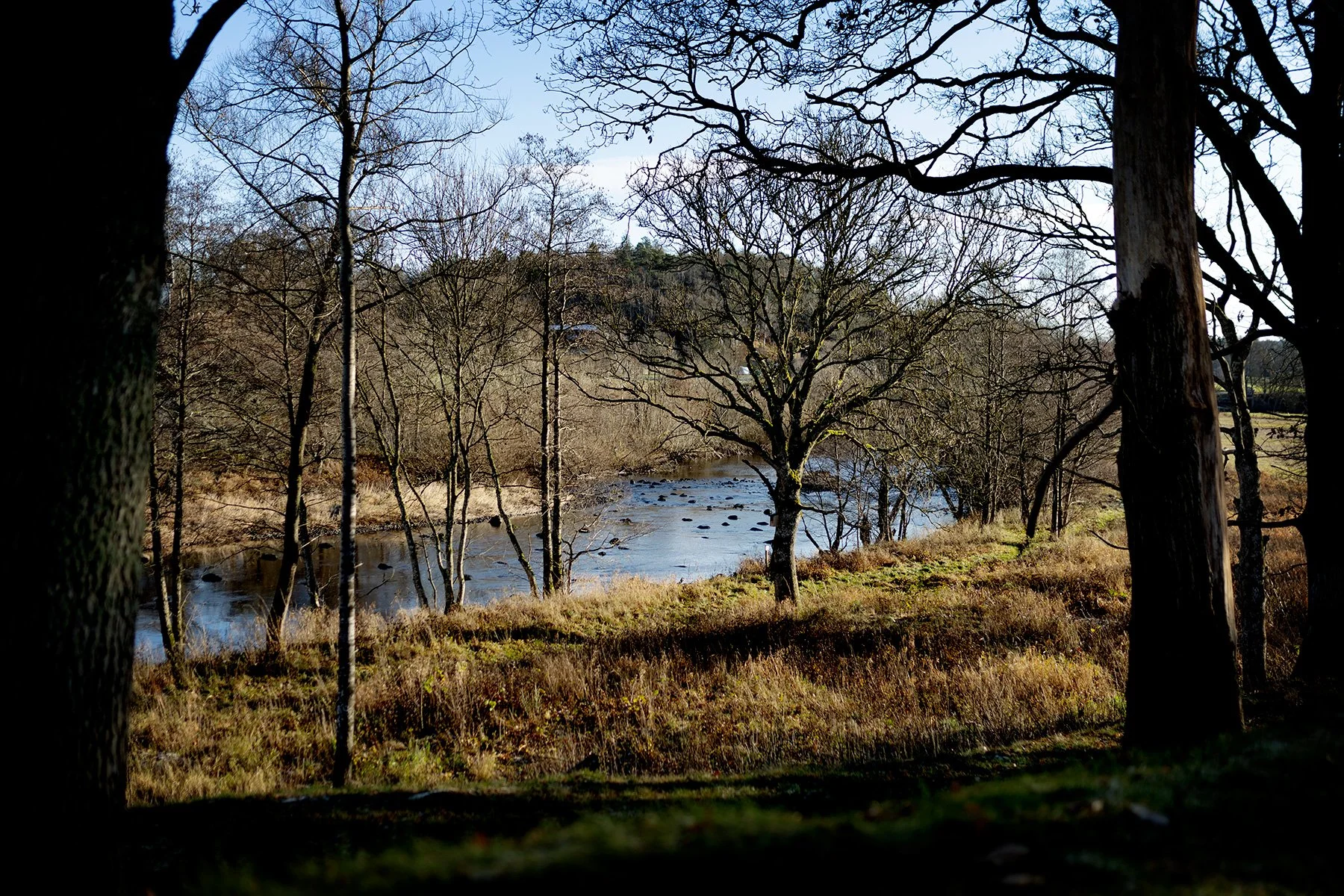 blogg-241120veddige16.jpg