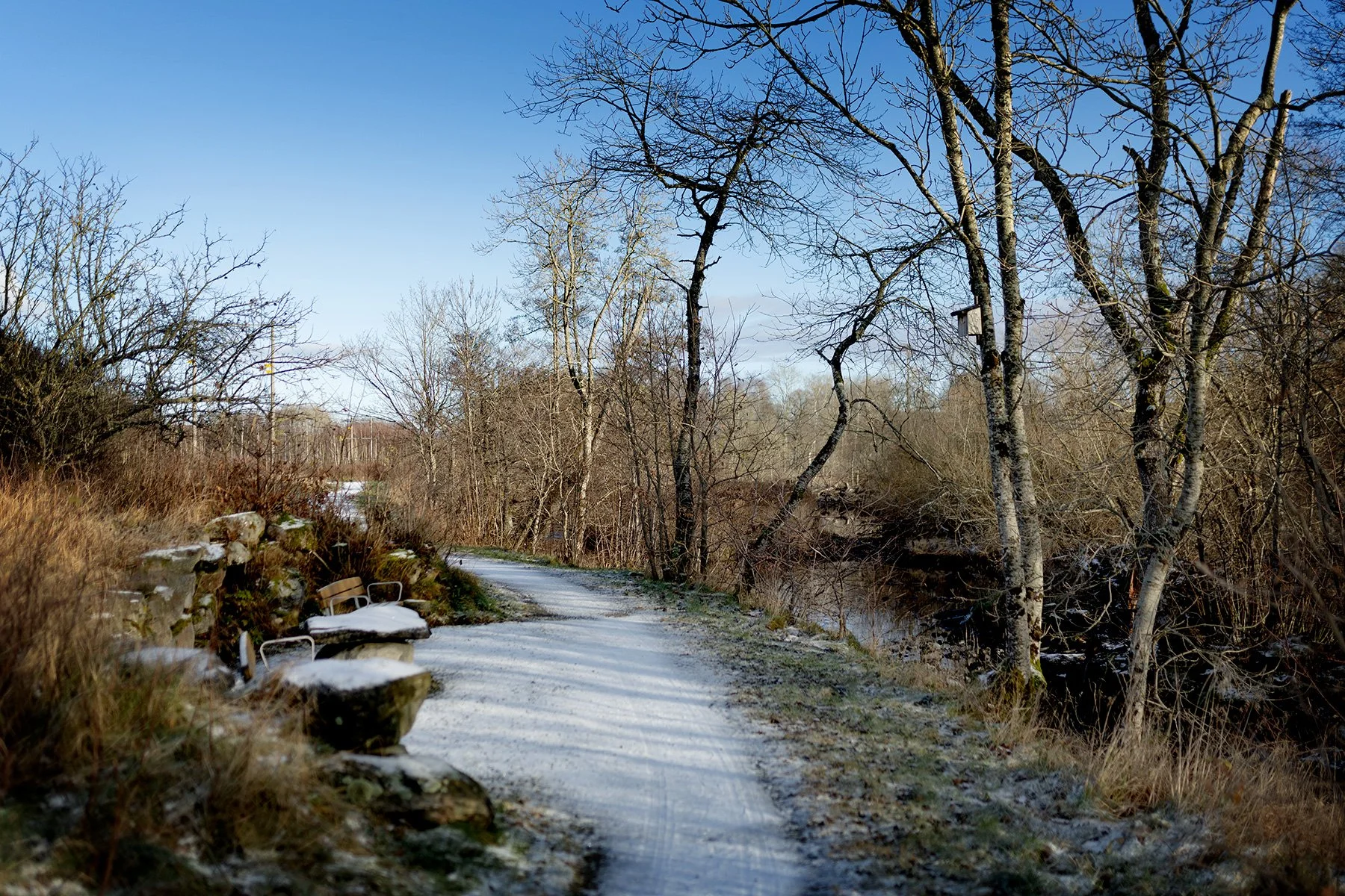 blogg-241120veddige18.jpg
