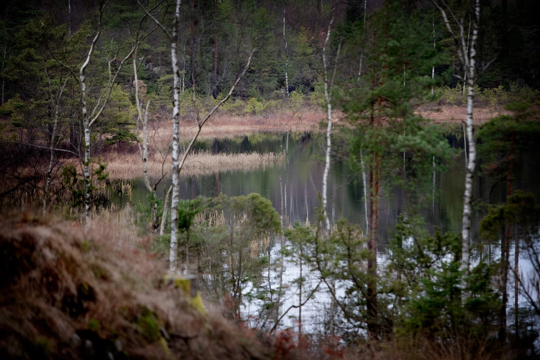 blogg-241129prasthultdag23.jpg