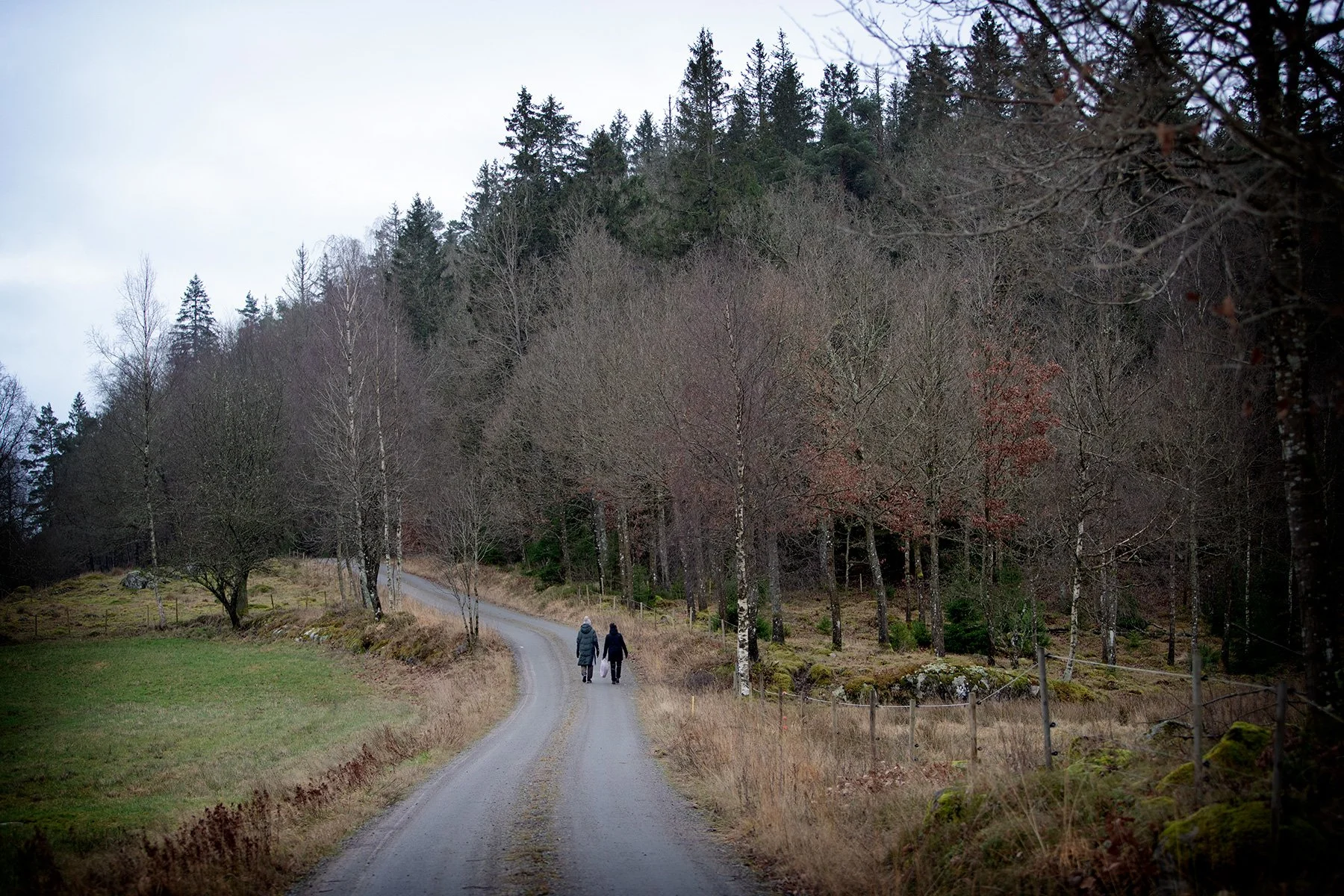 blogg-241129prasthultdag31.jpg