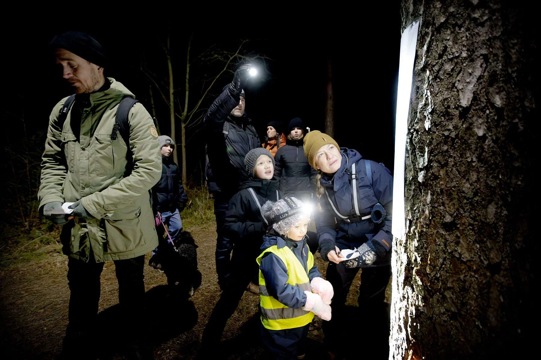 blogg-241220julpromenad8.jpg