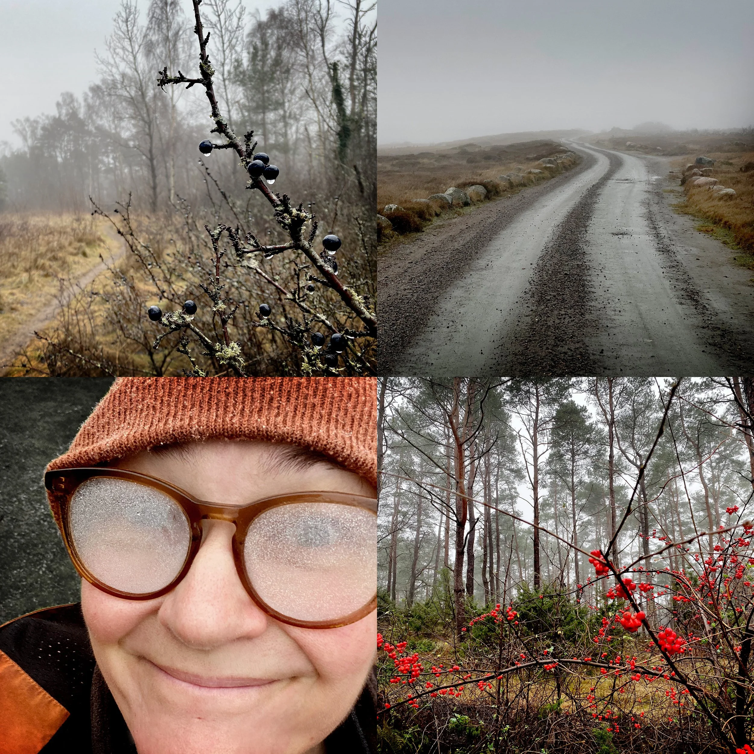 Juldagspromenad