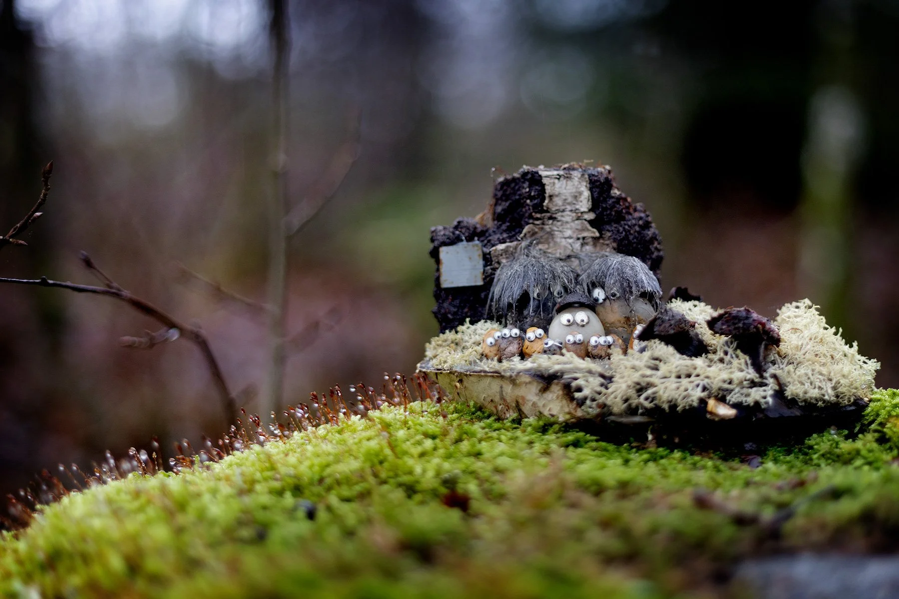 blogg-241226veddigeslingan10.jpg