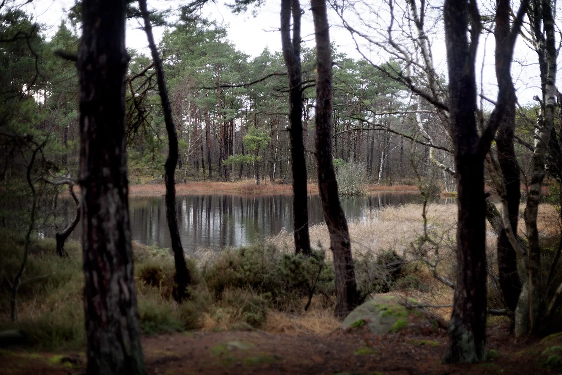 blogg-241229vindskyddet21.jpg