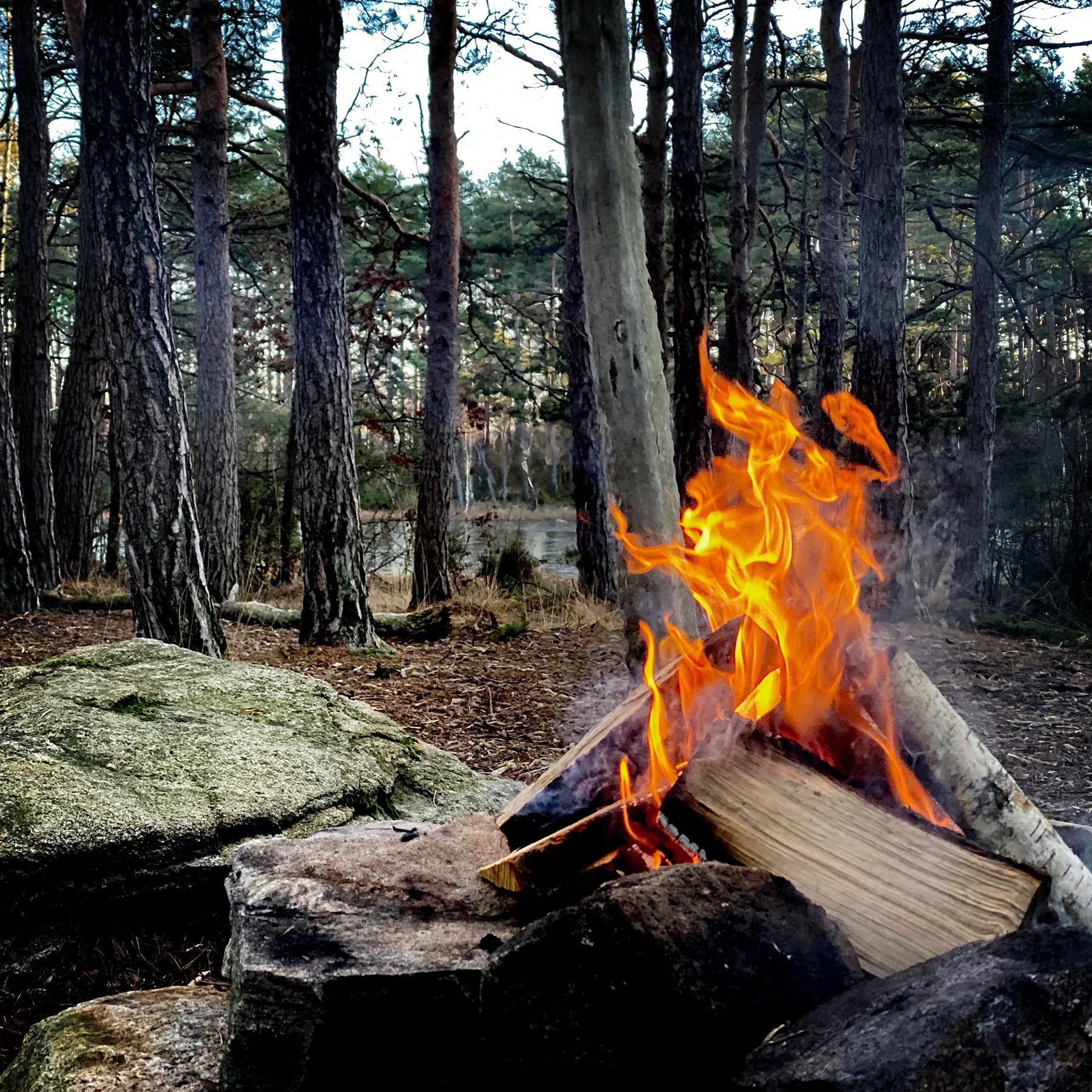 blogg-250102vindskyddet4.jpg