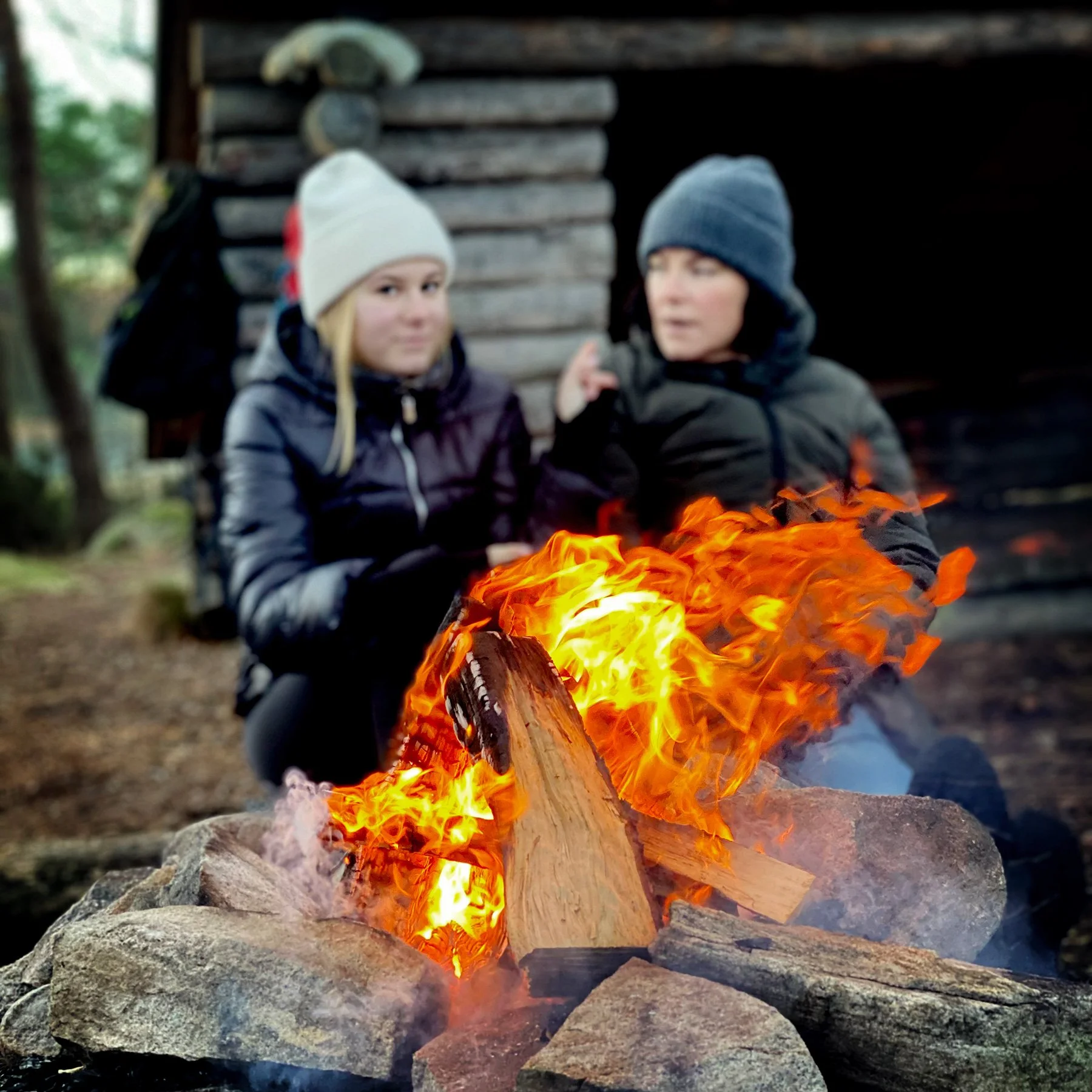 blogg-250102vindskyddet6.jpg