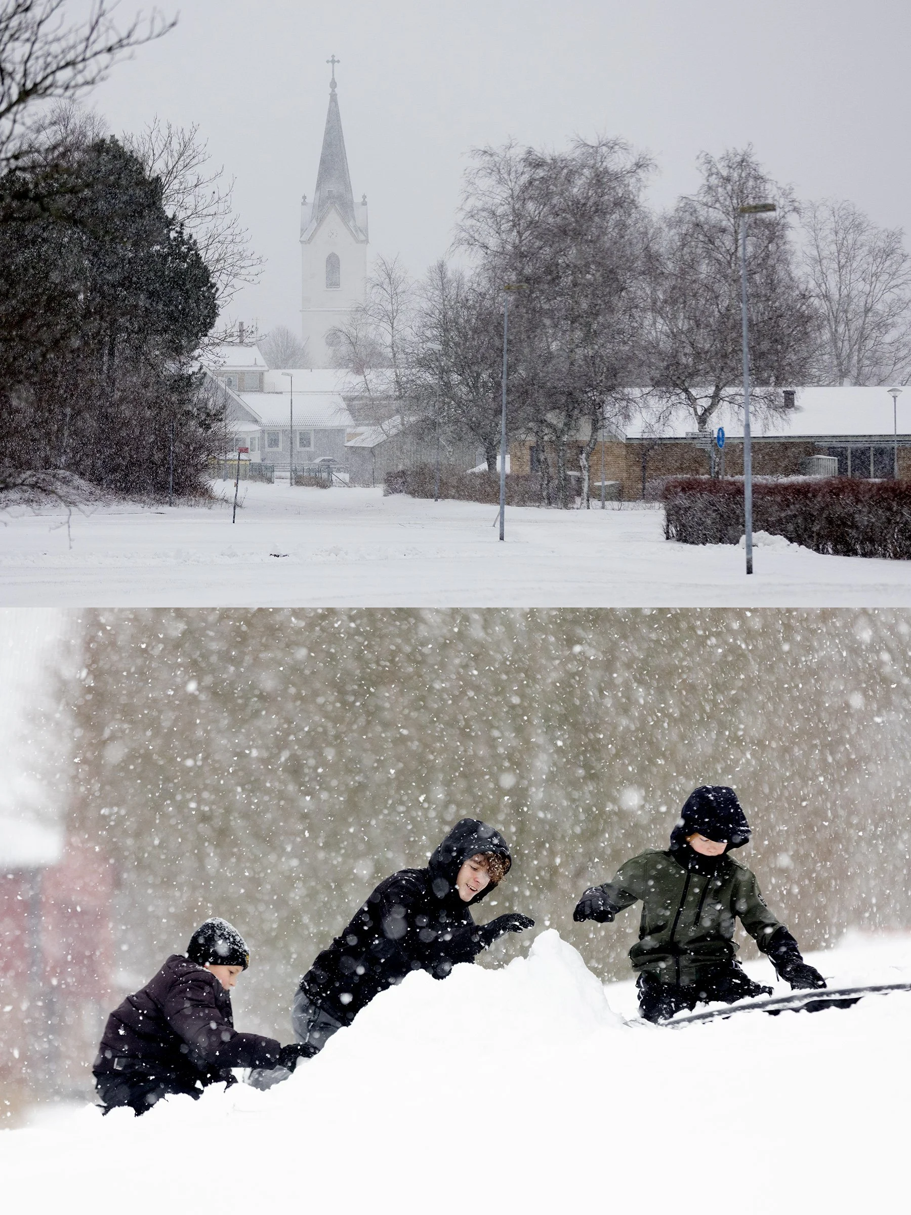 Snöyra