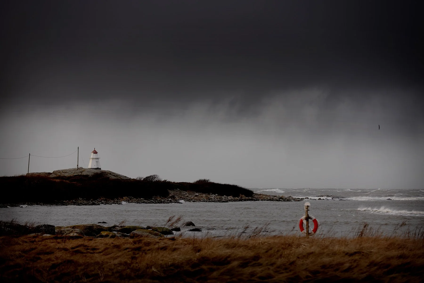 blogg-250107stormenfloriane2.jpg