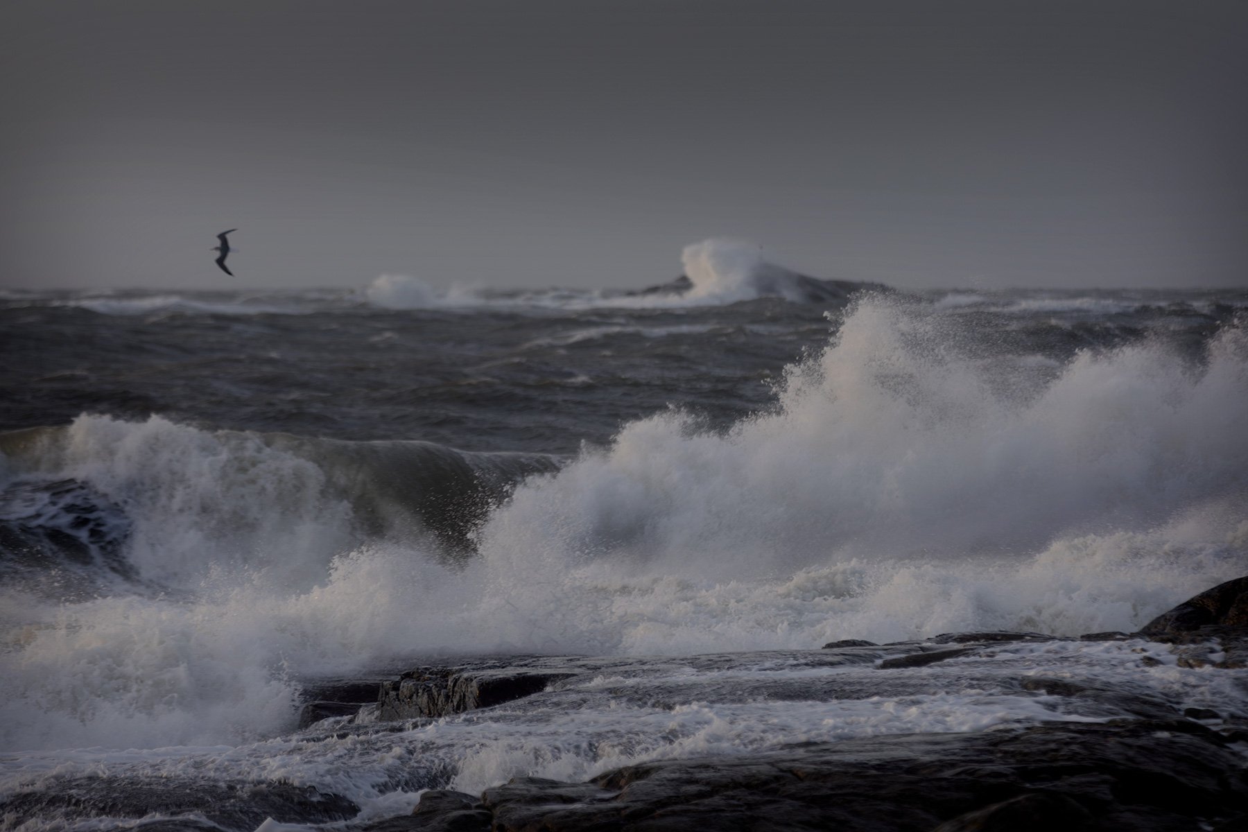 blogg-250107stormenfloriane12.jpg