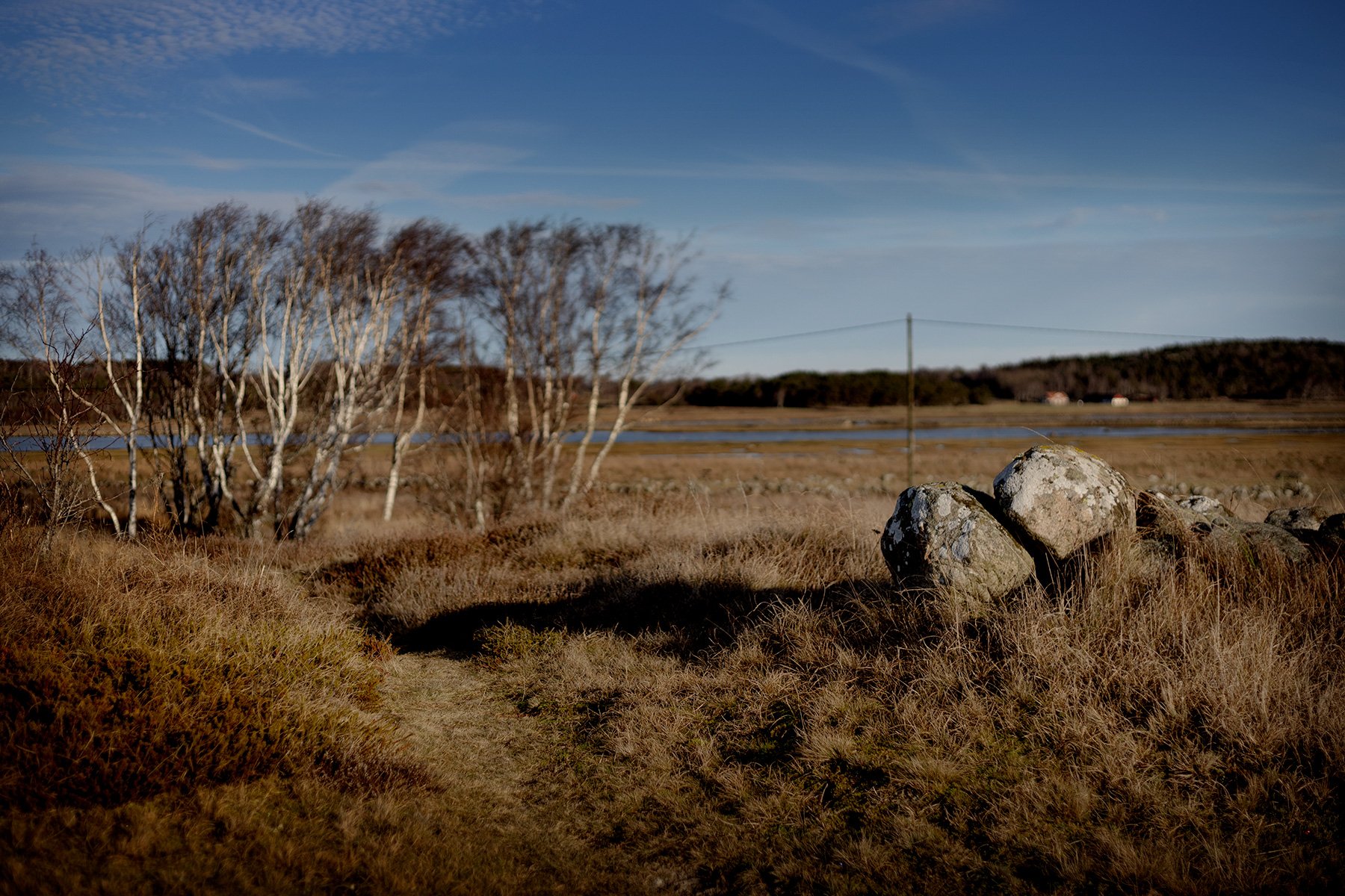 blogg-250120bale4.jpg