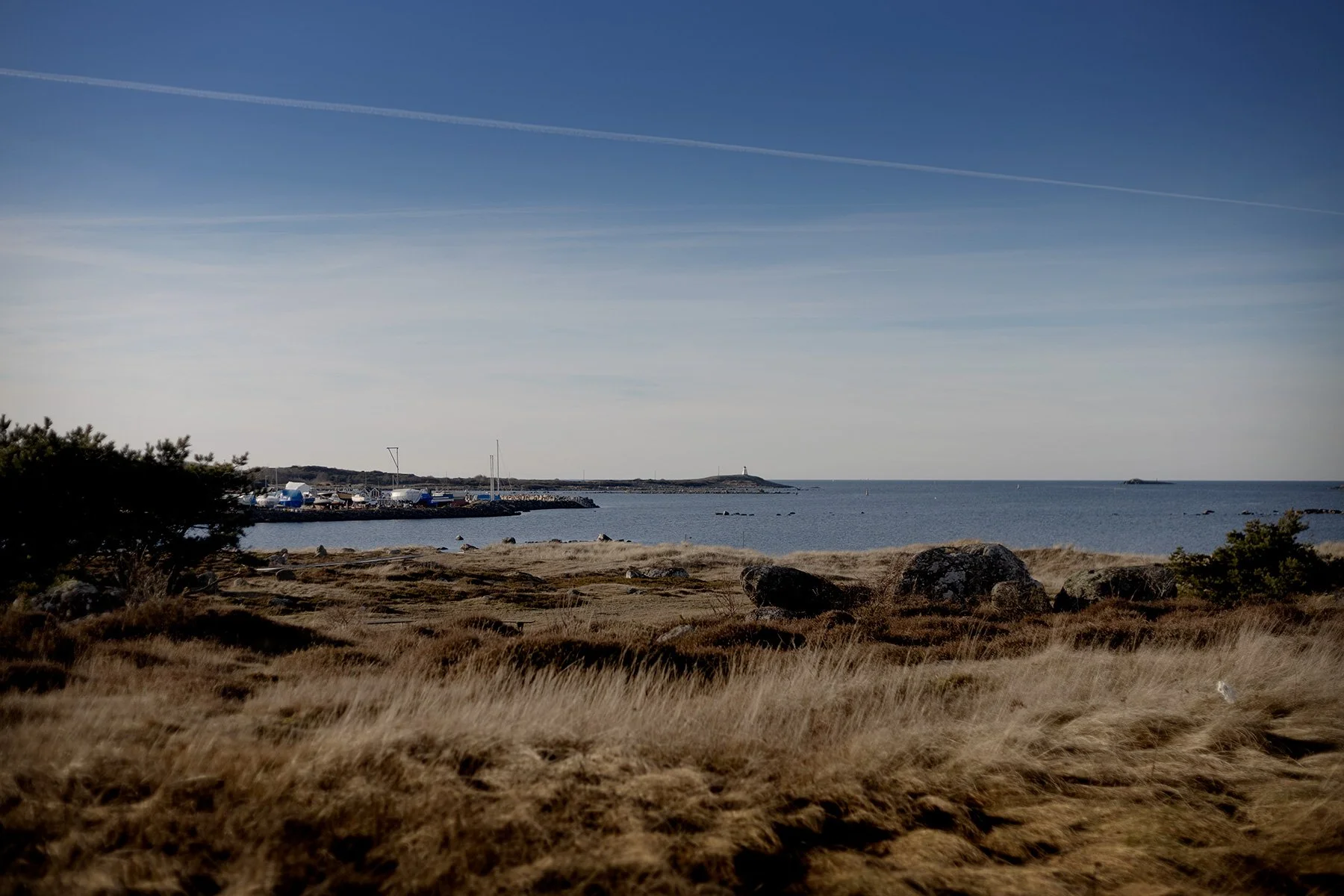 blogg-250120bale5.jpg