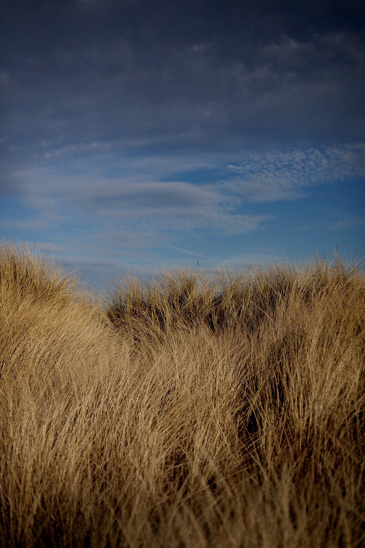 blogg-250120bale10.jpg