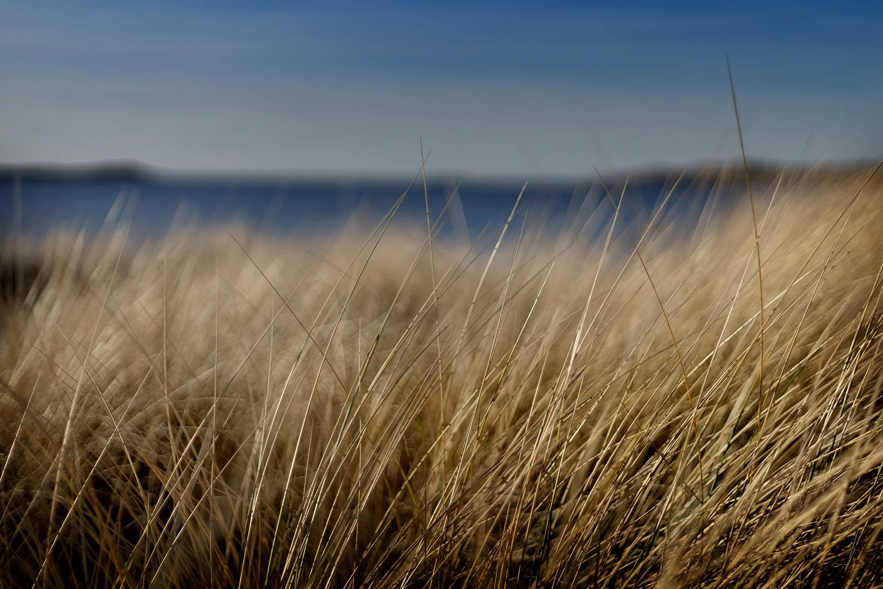 blogg-250120bale15.jpg