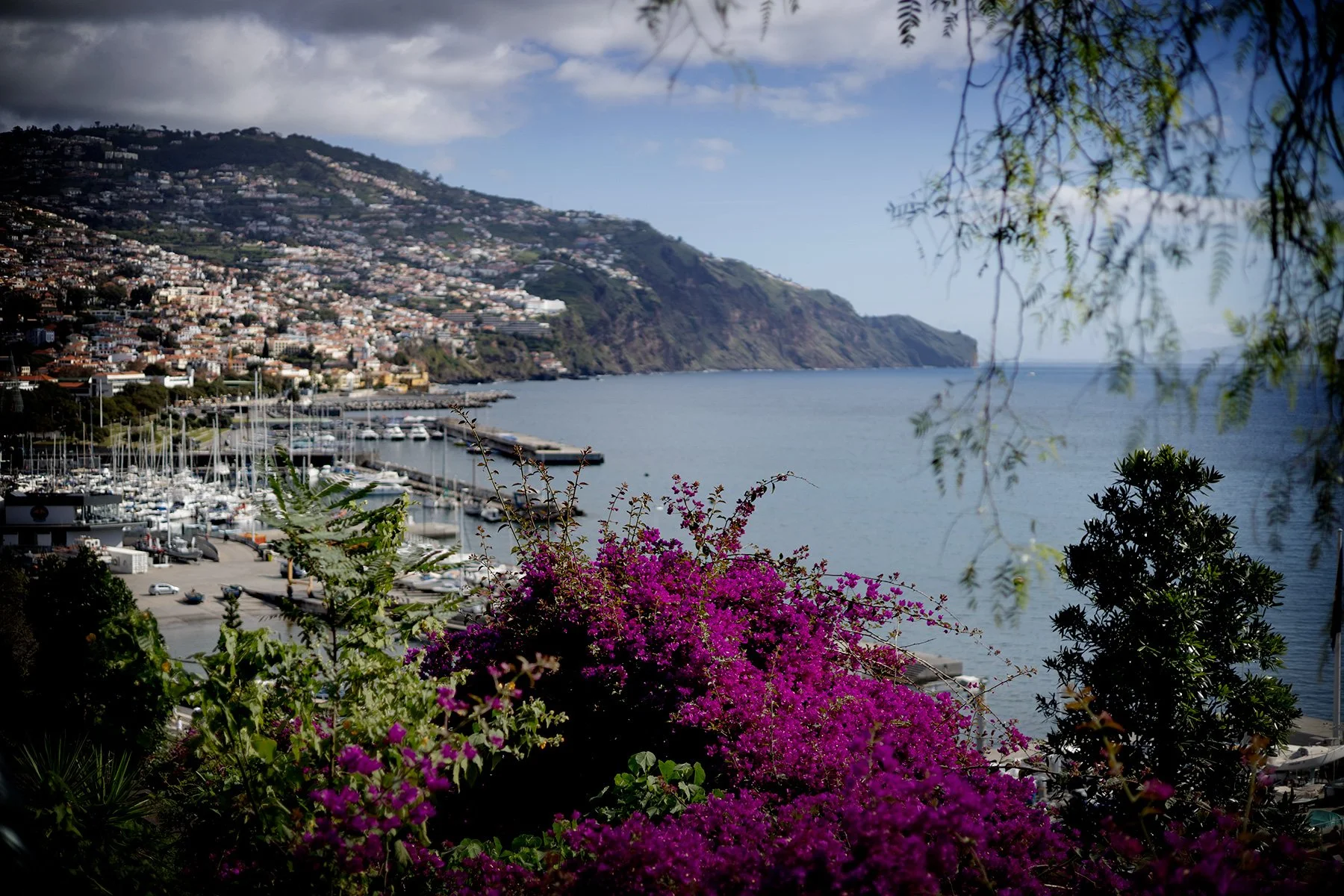 blogg-250127madeira2-6.jpg
