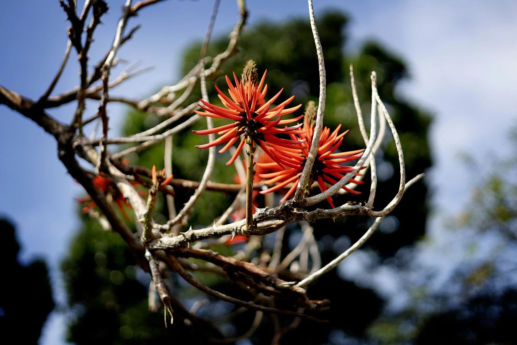 blogg-250127madeira2-14.jpg