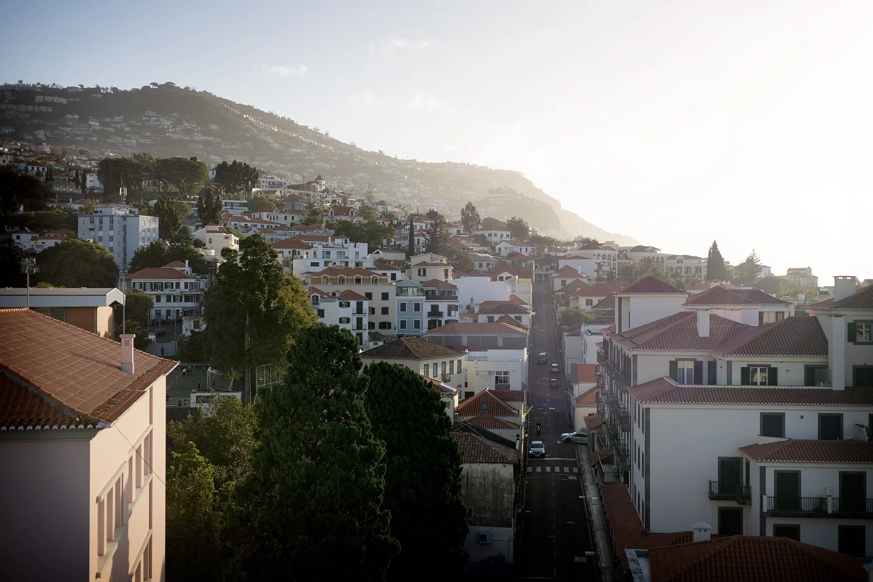 blogg-250128madeira-monte3.jpg
