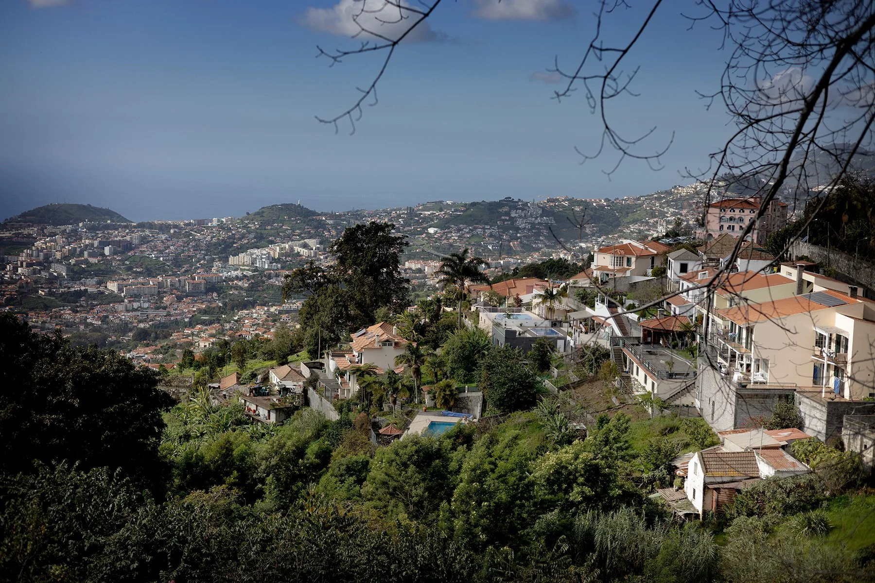 blogg-250128madeira-monte16.jpg