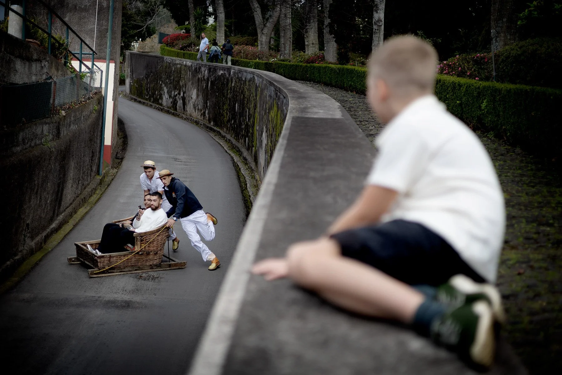blogg-250128madeira-monte19.jpg