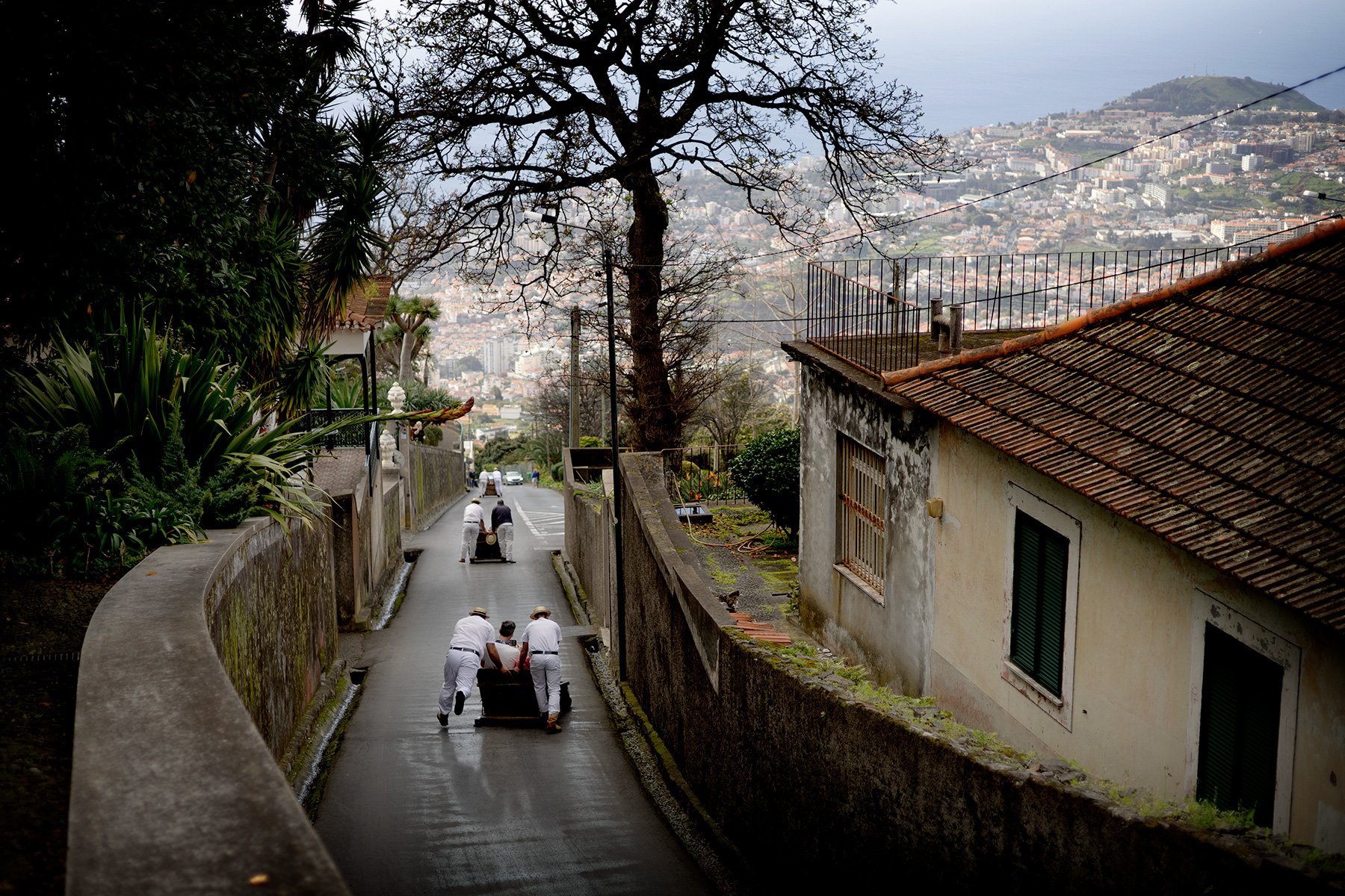 blogg-250128madeira-monte20.jpg
