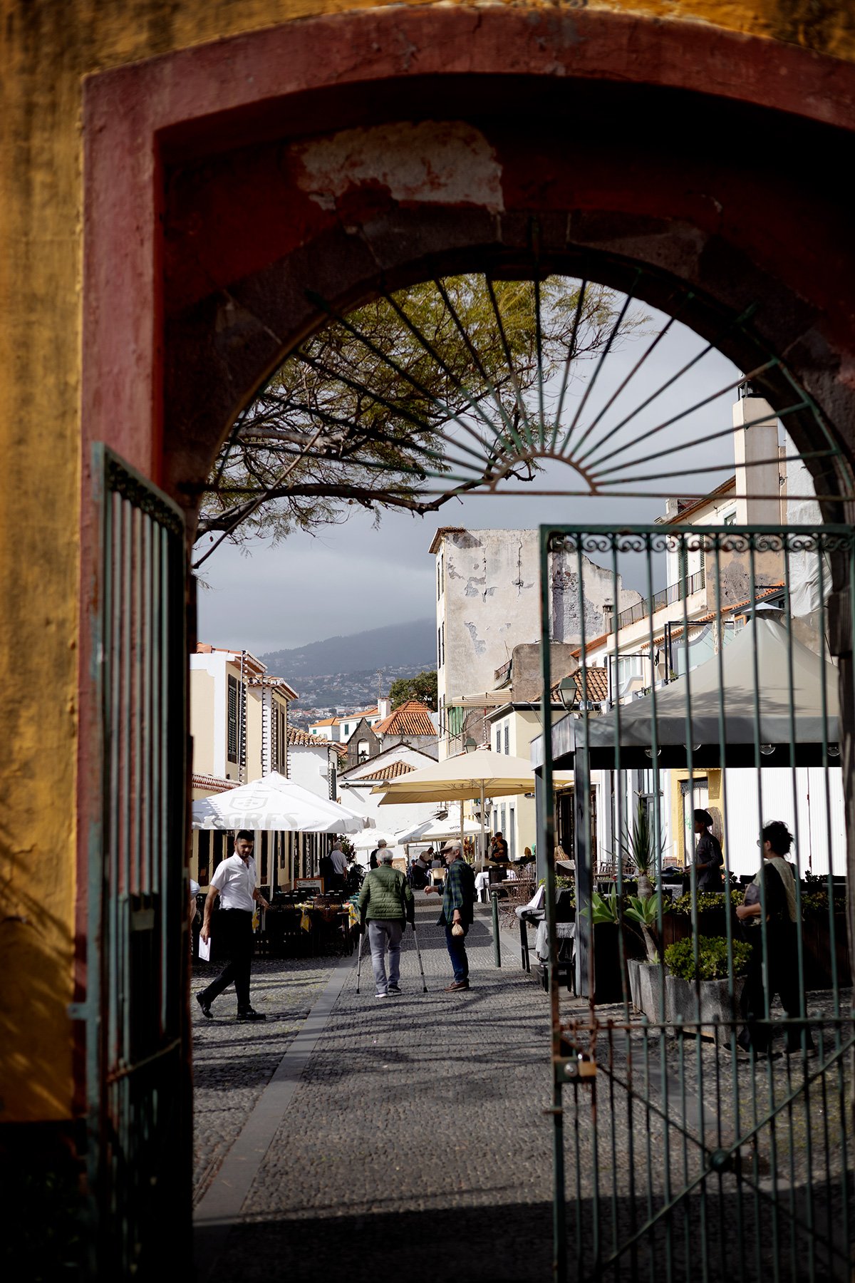 blogg-250128madeira3-4.jpg