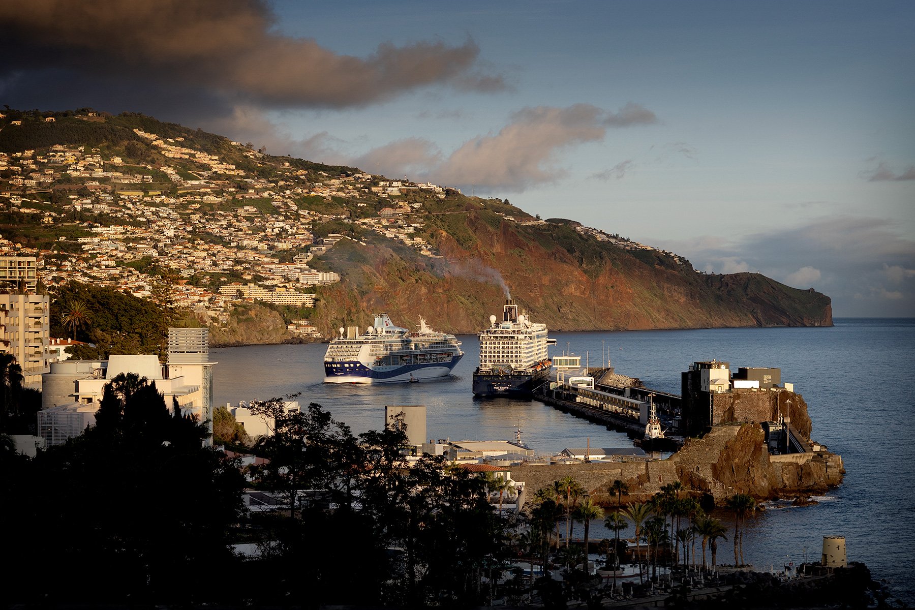 blogg-250201madeira-papegojkvall11.jpg