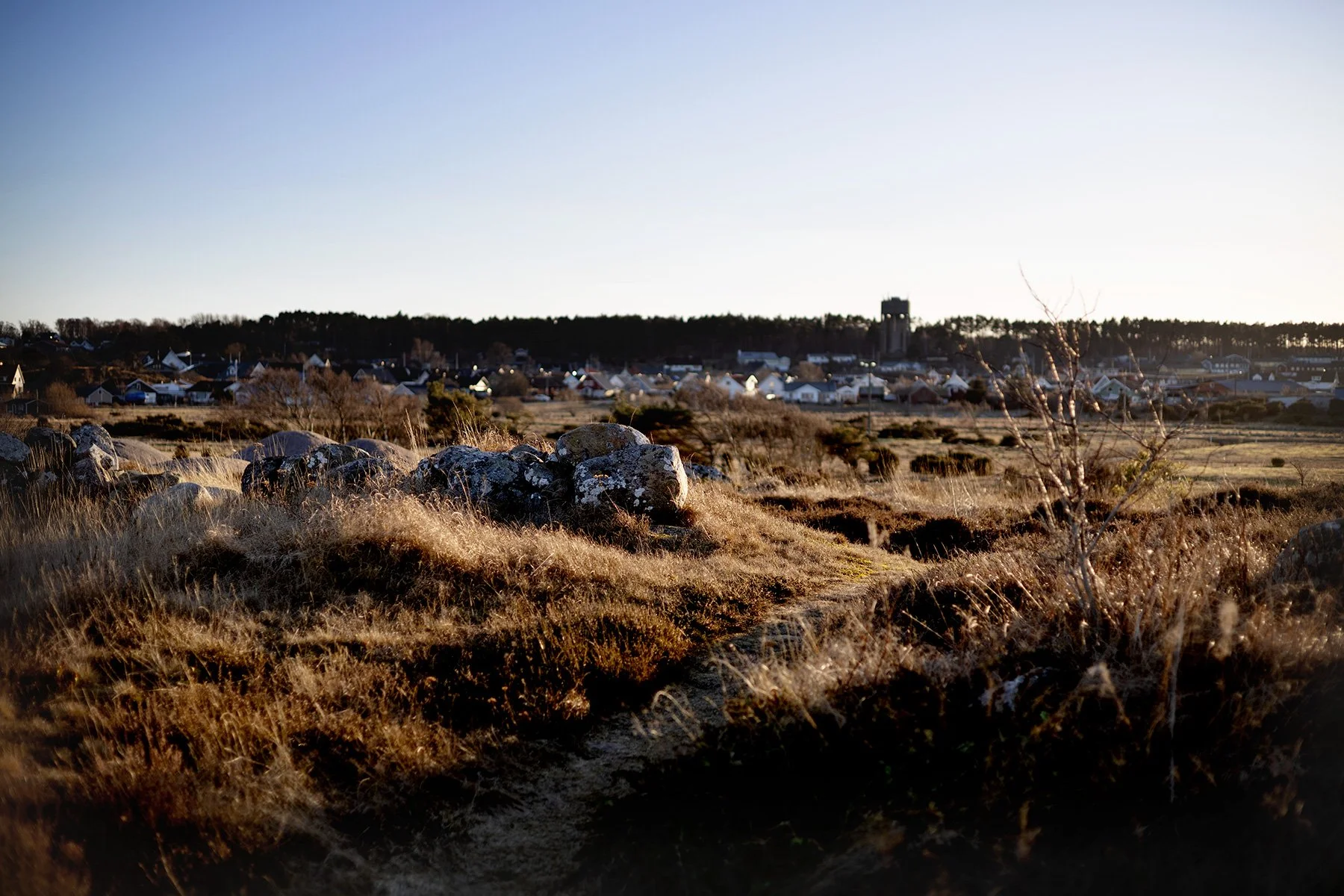 blogg-250214bale14.jpg