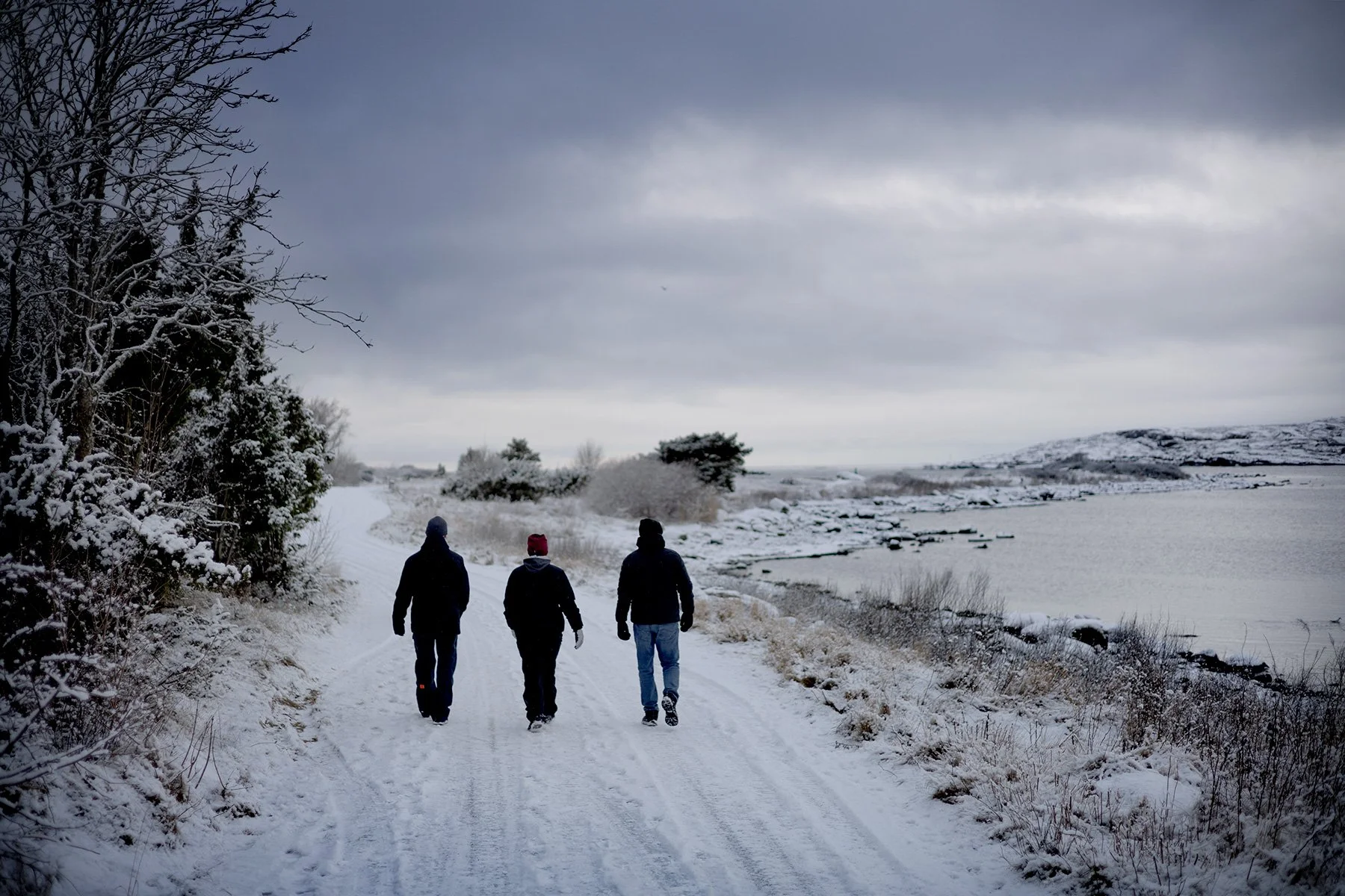 blogg-250215fyrenpromenad4.jpg