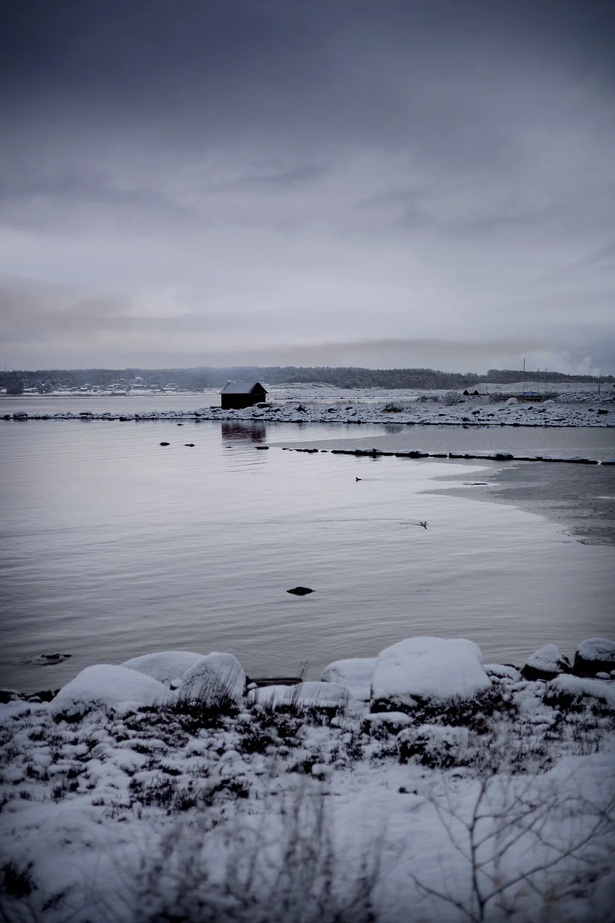blogg-250215fyrenpromenad5.jpg