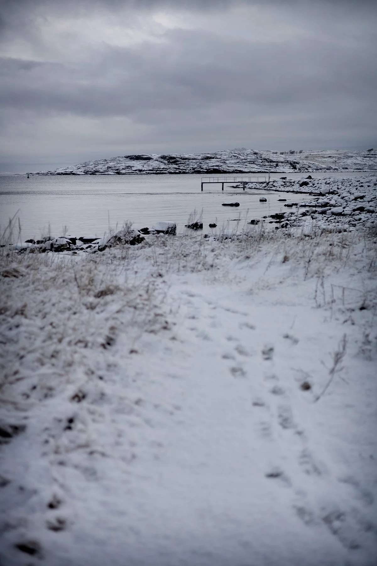 blogg-250215fyrenpromenad7.jpg