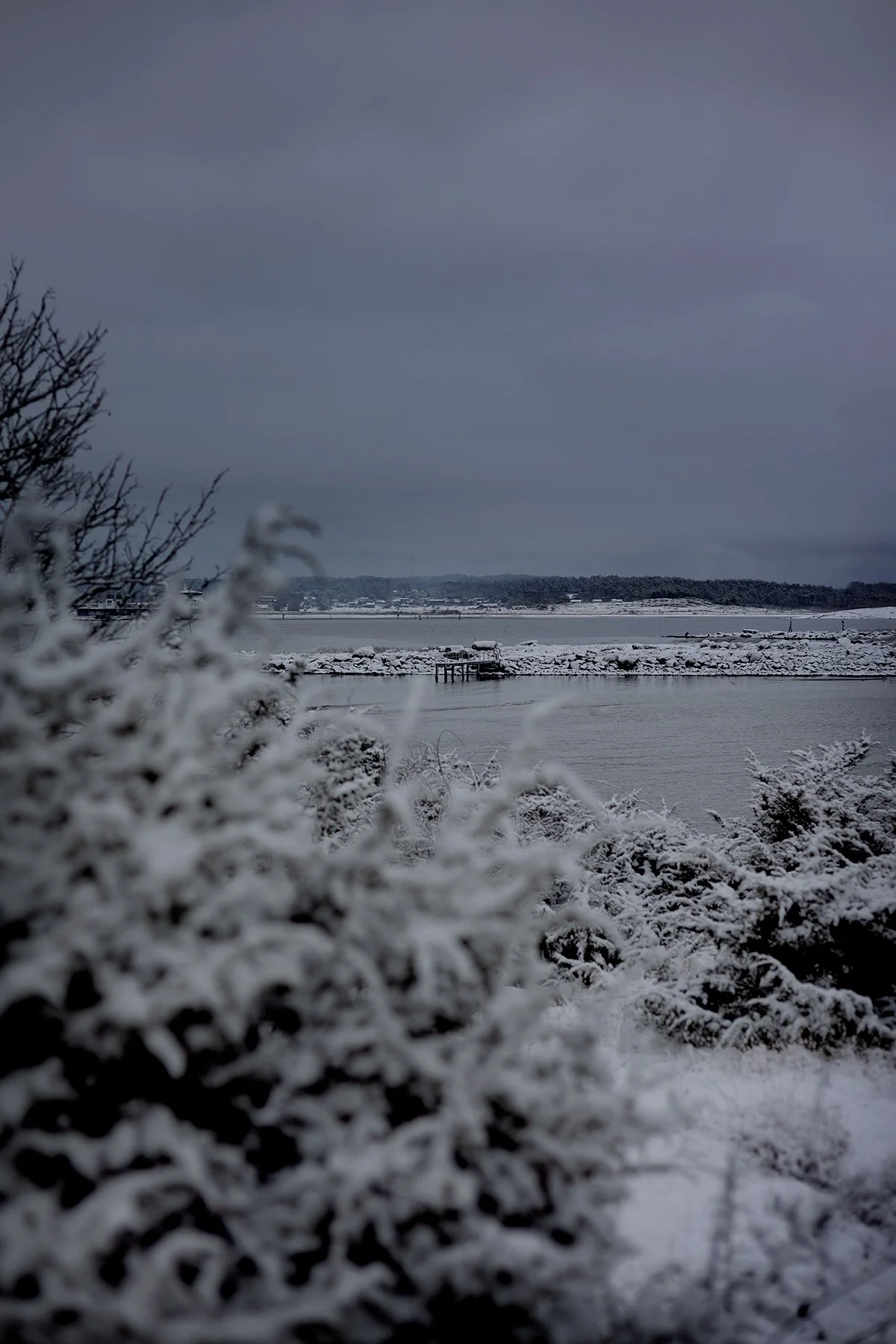 blogg-250215fyrenpromenad13.jpg