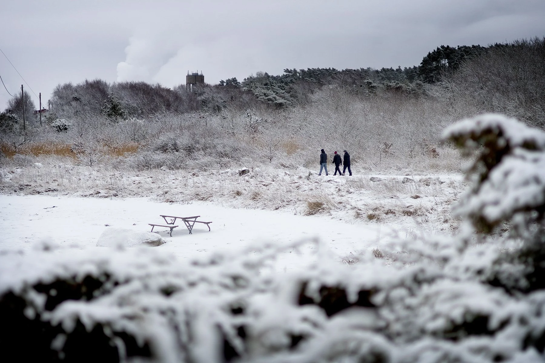 blogg-250215fyrenpromenad16.jpg