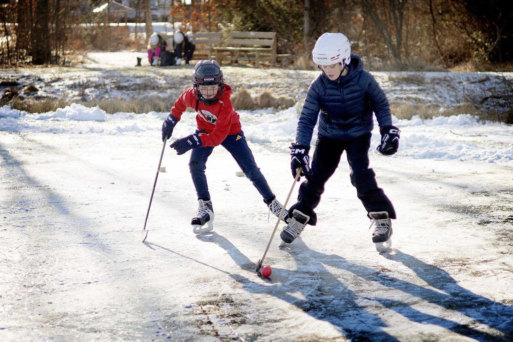 blogg-250216guttaredsmosseis4.jpg