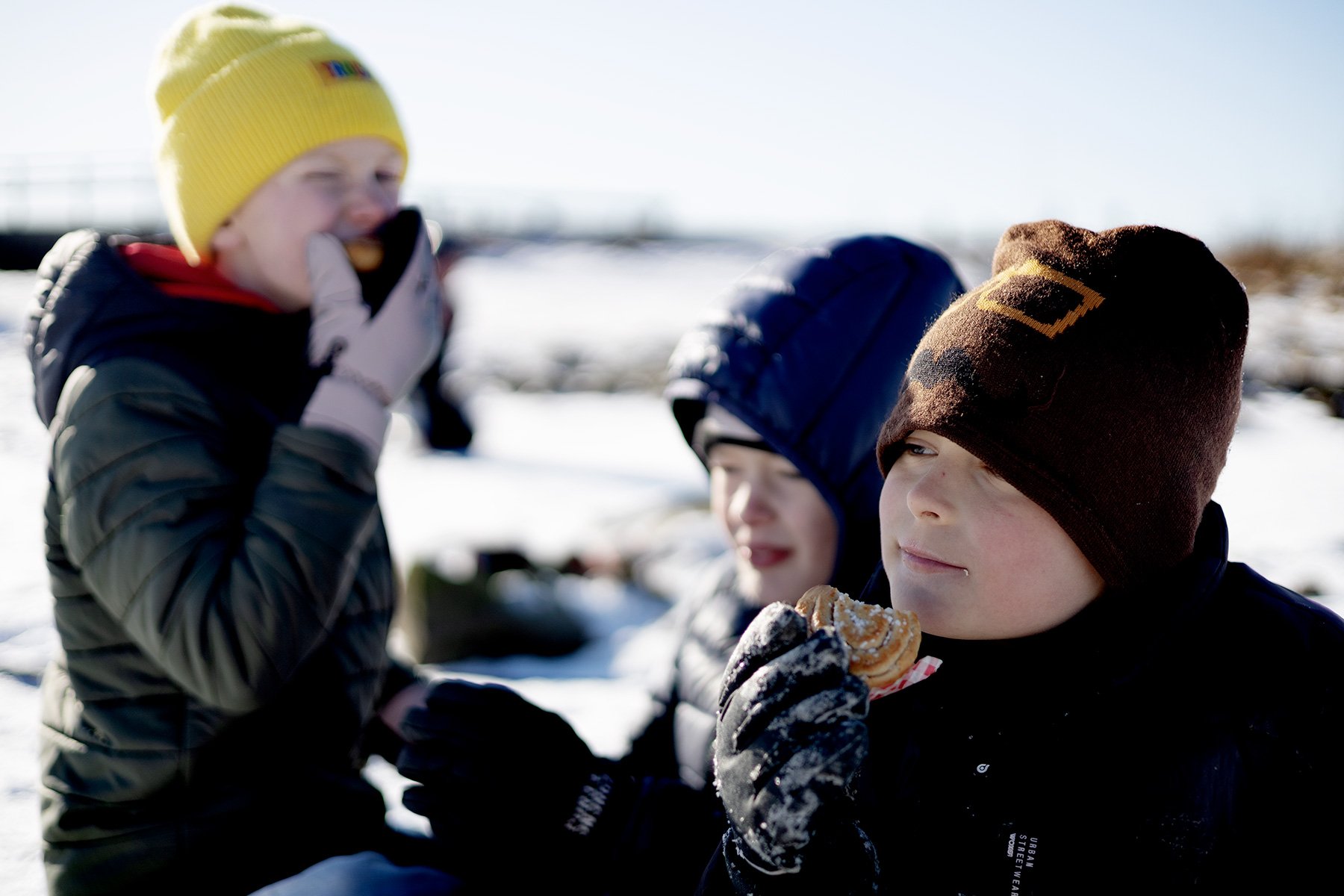 blogg-250216fageltornetis12.jpg