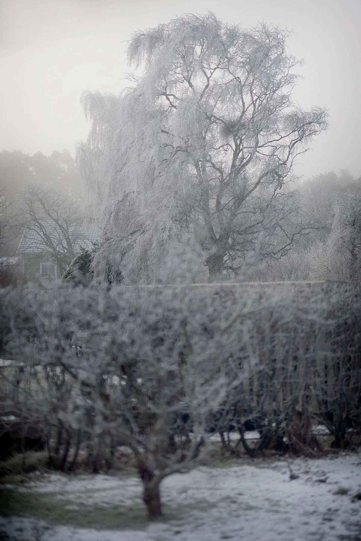 blogg-250219isdimma4.jpg