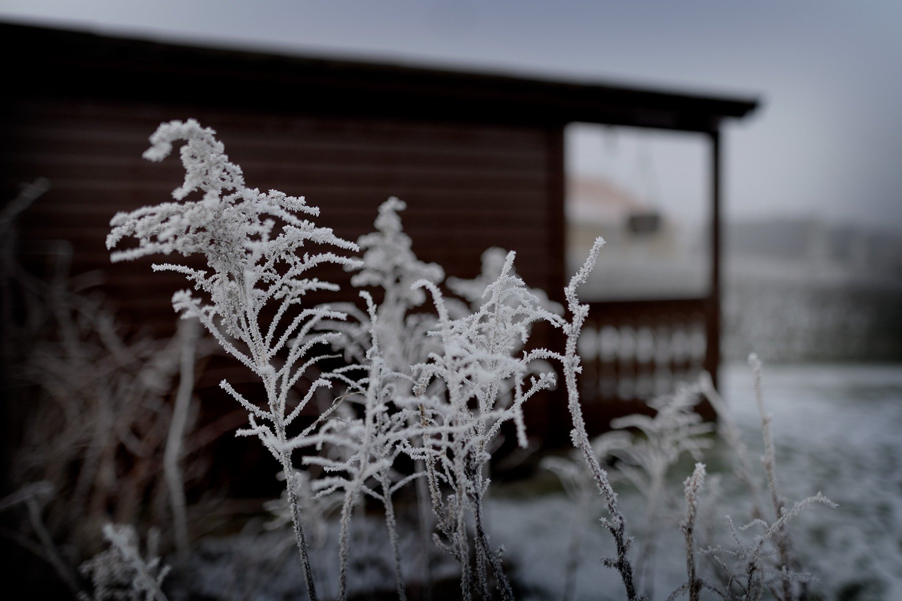 blogg-250219isdimma8.jpg