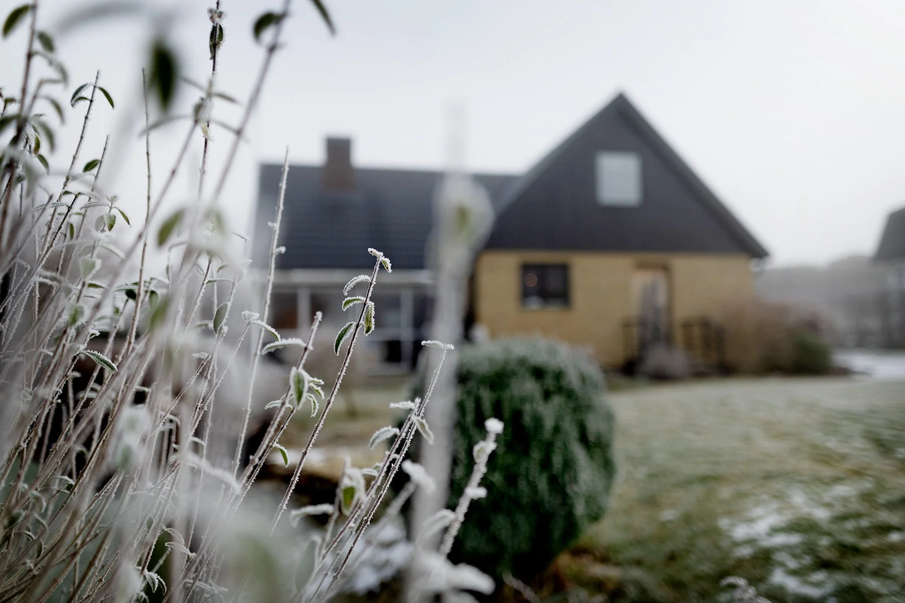 blogg-250219isdimma9.jpg