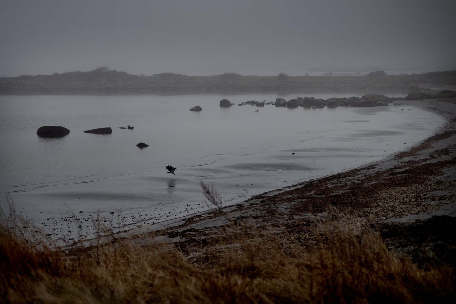 blogg-250227fyrenstranden1.jpg