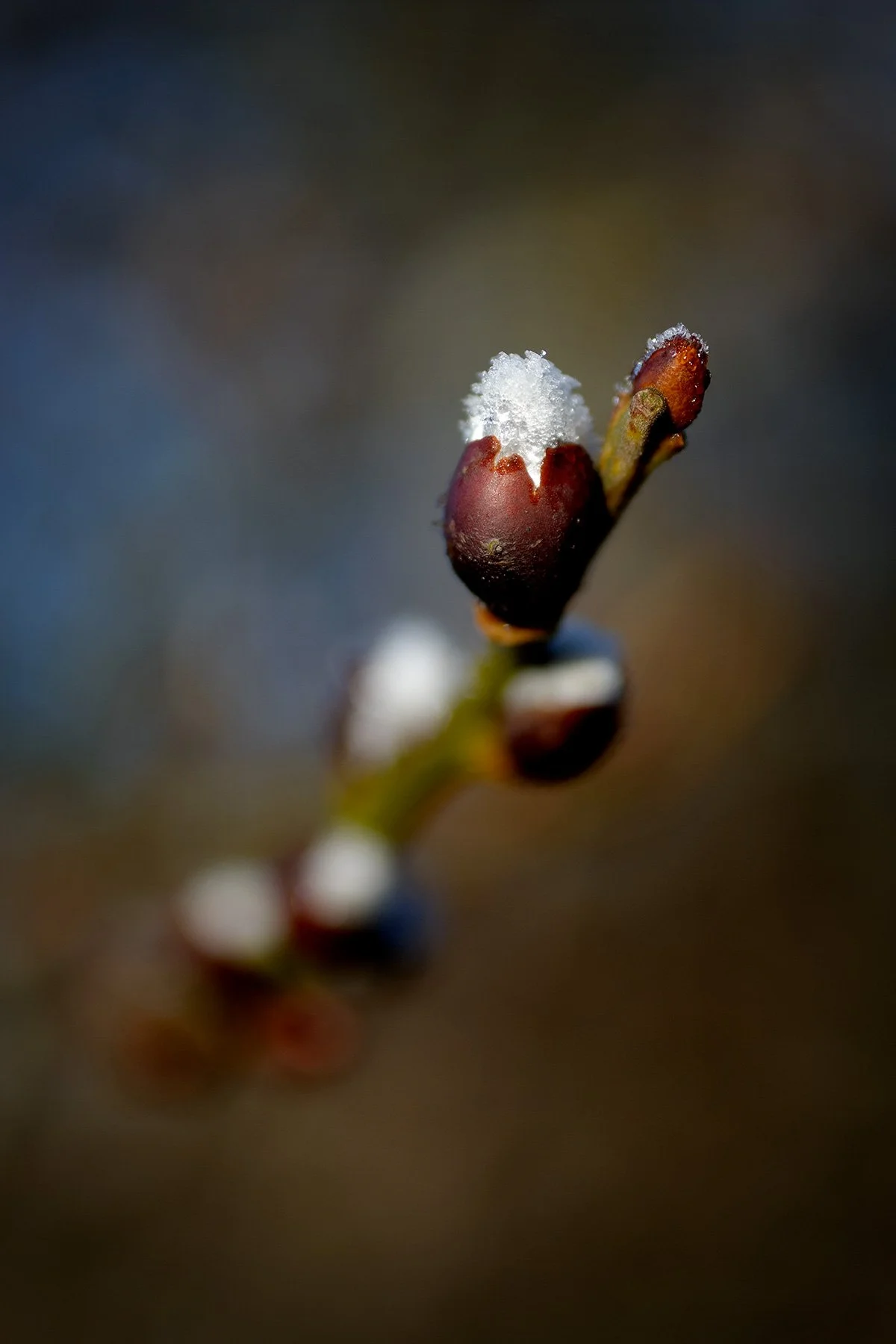 blogg-250228fyrenpromsol14.jpg