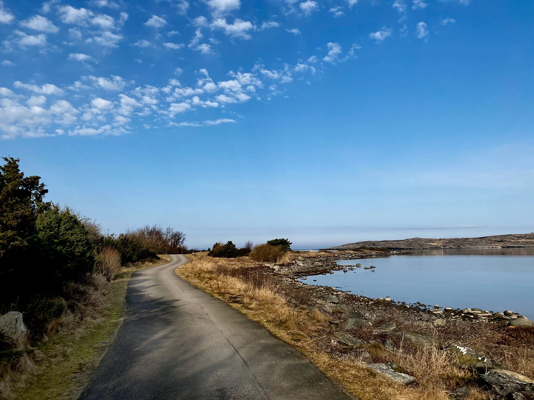 blogg-250310rodaslingan1.jpg