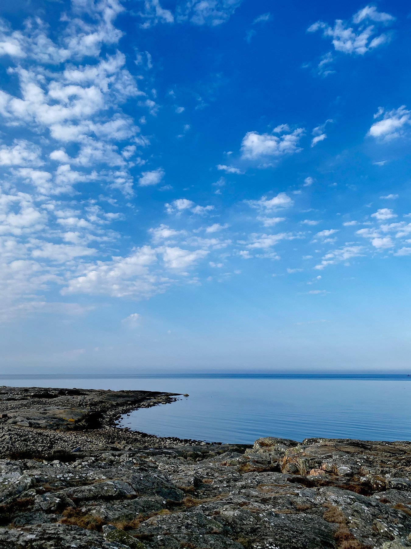 blogg-250310rodaslingan5.jpg
