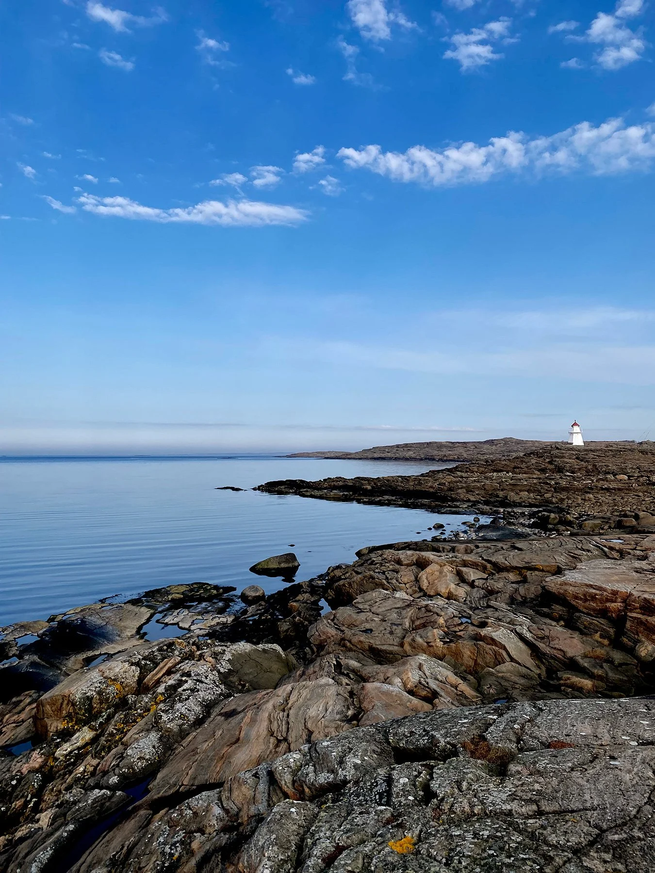 blogg-250310rodaslingan7.jpg