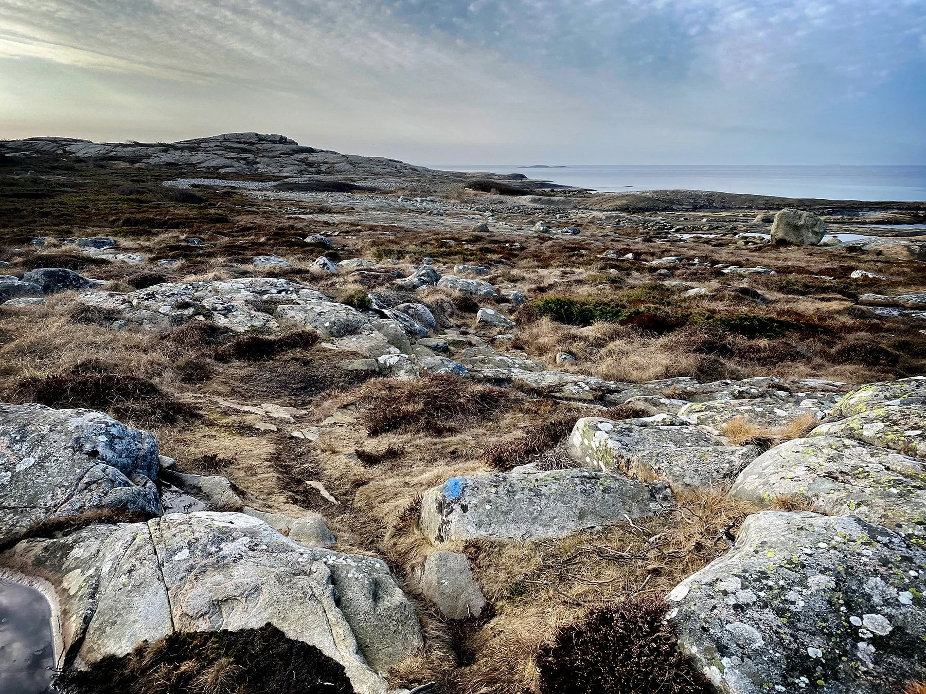 blogg-250310rodaslingan8.jpg
