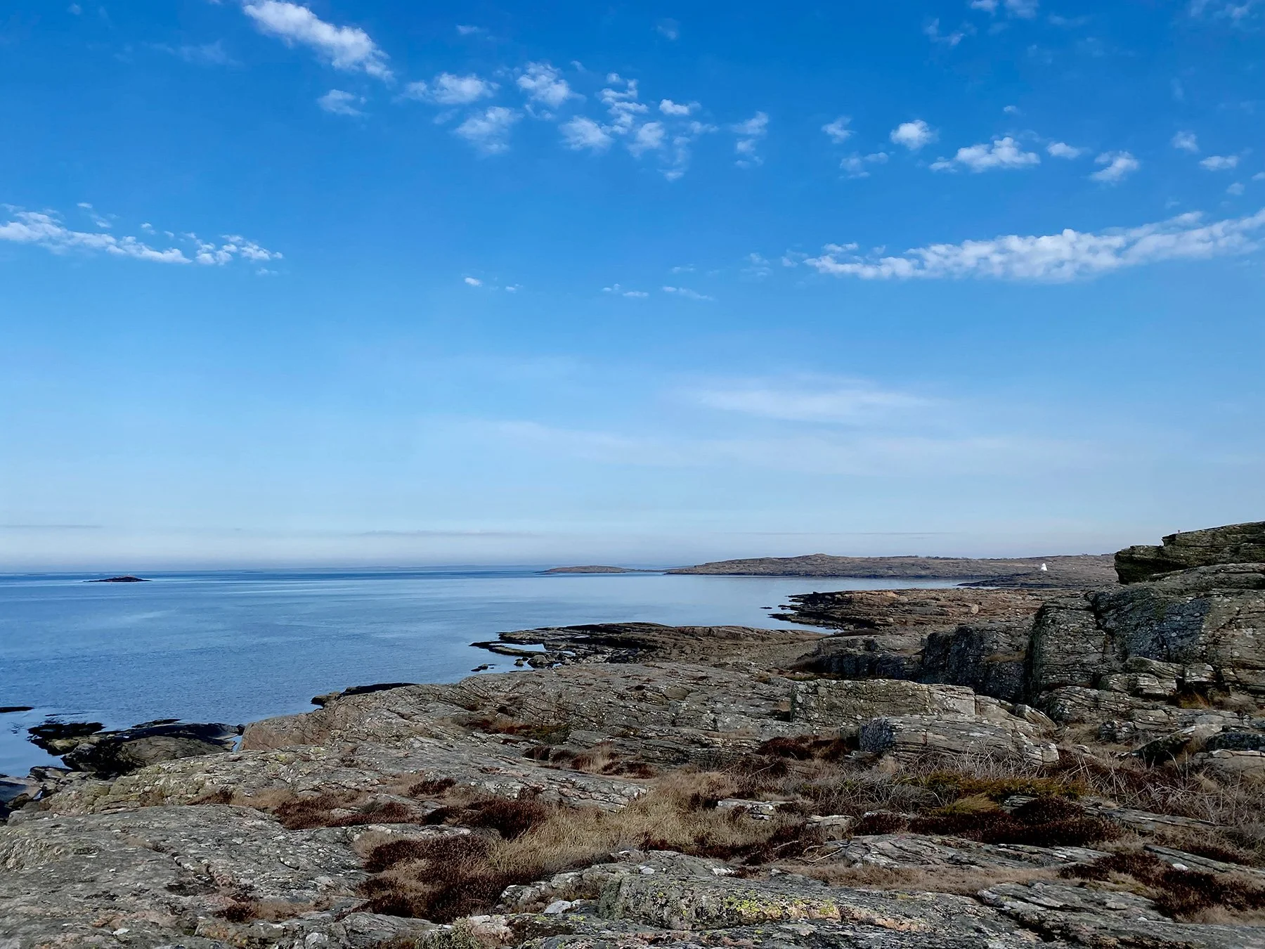 blogg-250310rodaslingan11.jpg
