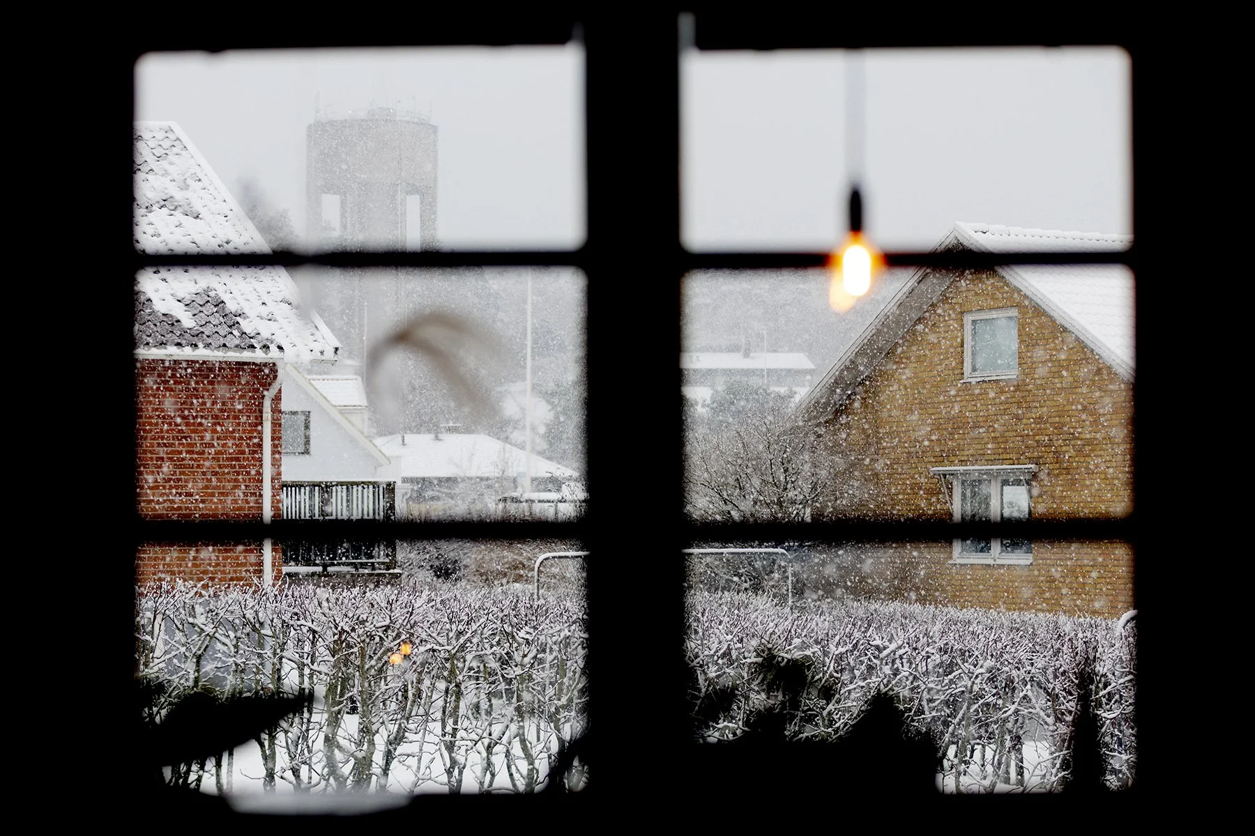 blogg-250312snomorgon4.jpg